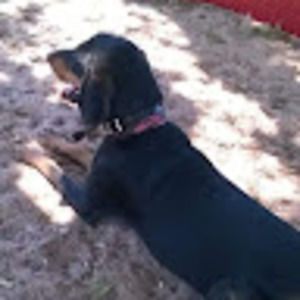 Meet your Posher, Serena